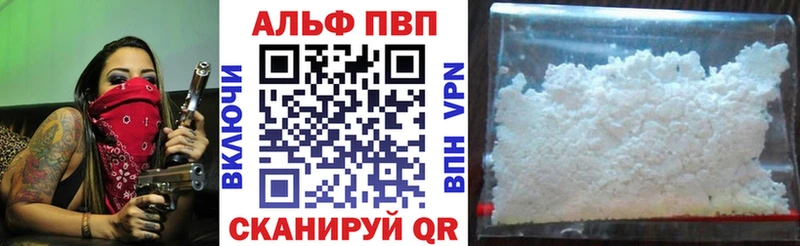 Альфа ПВП СК  Дигора 