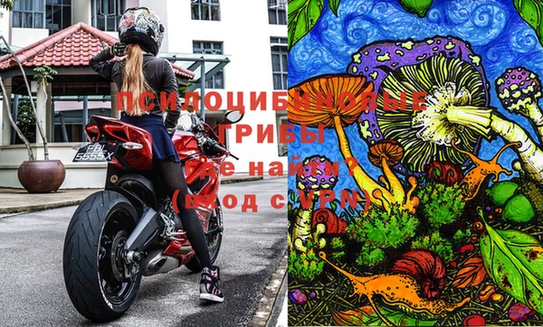 MDMA Горнозаводск