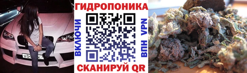 Конопля индика Дигора